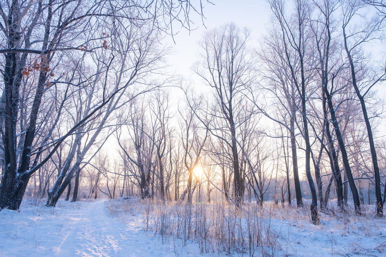 Chinese Medicine Winter Health Tips