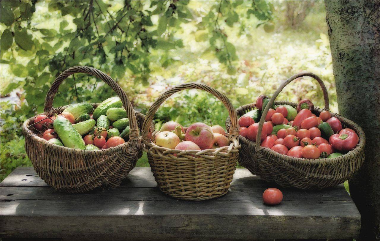 Benefits of Eating Seasonally for Health and the Environment